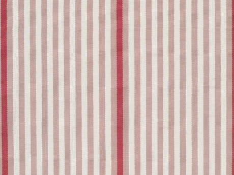 Ticking Stripe Pink scan